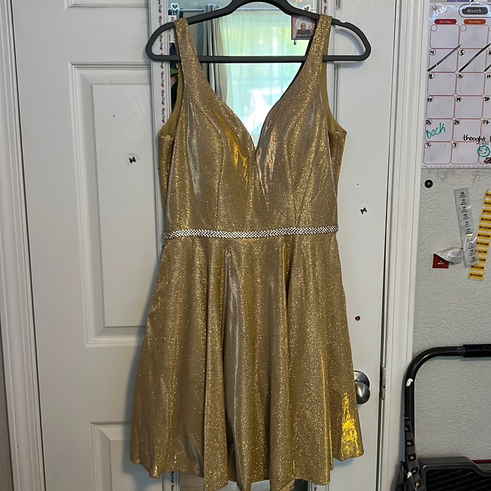 gold dress, extra large, silver band